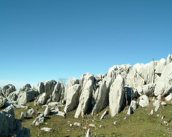 Sculture naturali